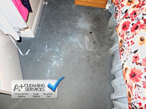 Carpet Cleaning Cheltenham by A+ Cleaning Services
