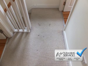 Carpet Cleaning Cheltenham by A+ Cleaning Services